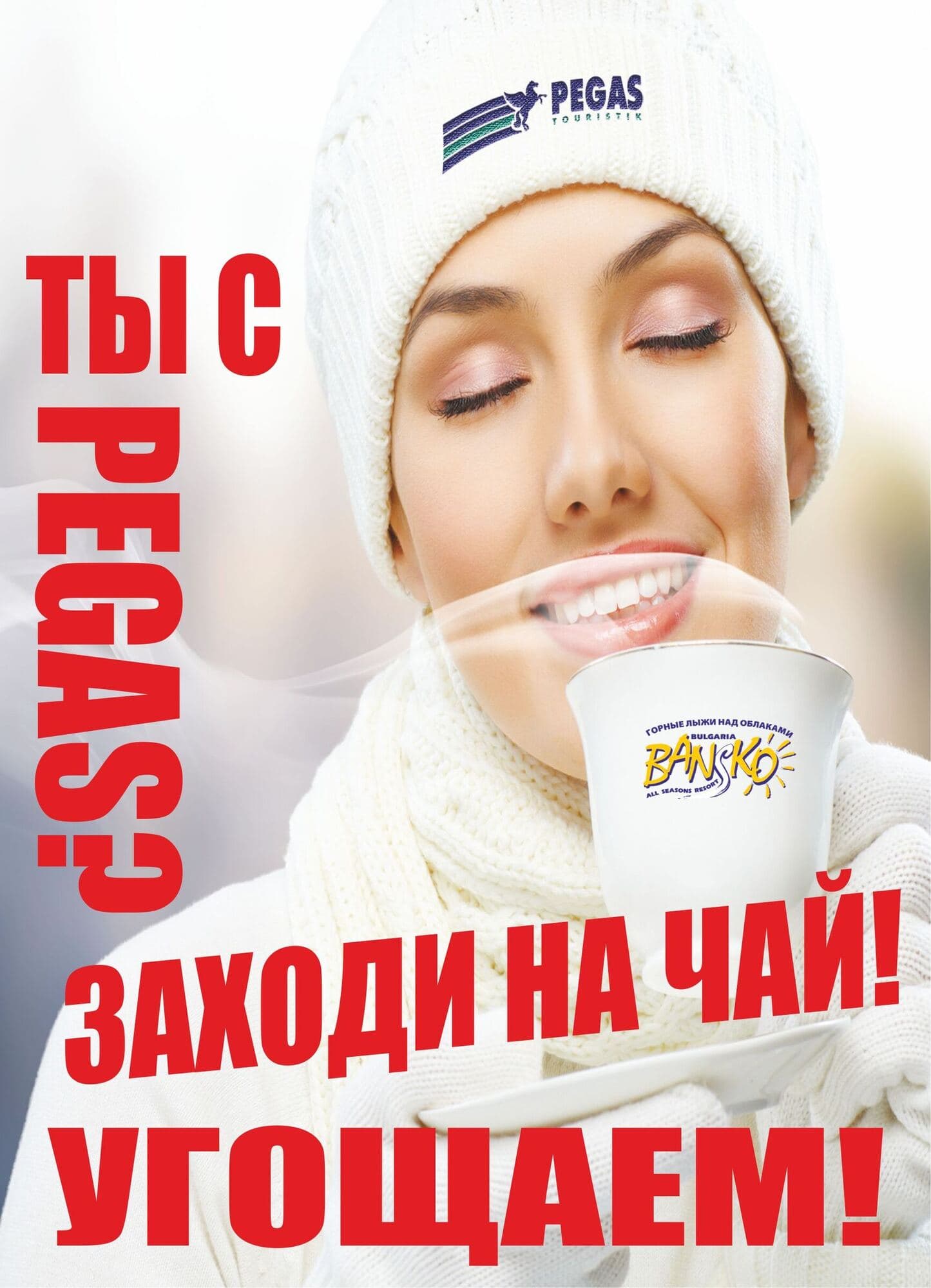 Рекламно фолио за чай Pegas