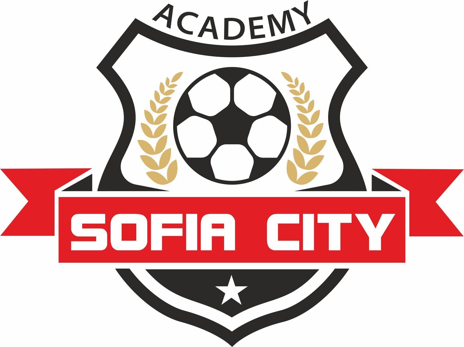 Емблема на академия Sofia City